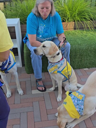 Springline - The Glade (Dog Park) - Menlo Park, CA