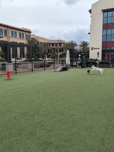 Springline - The Glade (Dog Park) - Menlo Park, CA