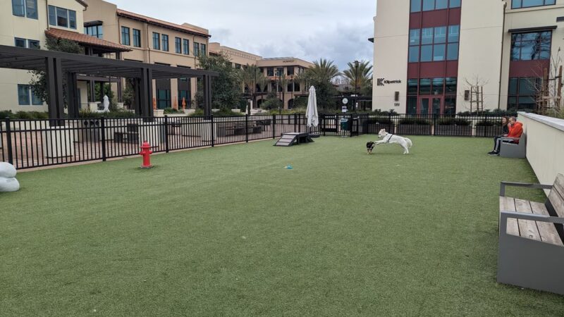 Springline - The Glade (Dog Park) - Menlo Park, CA