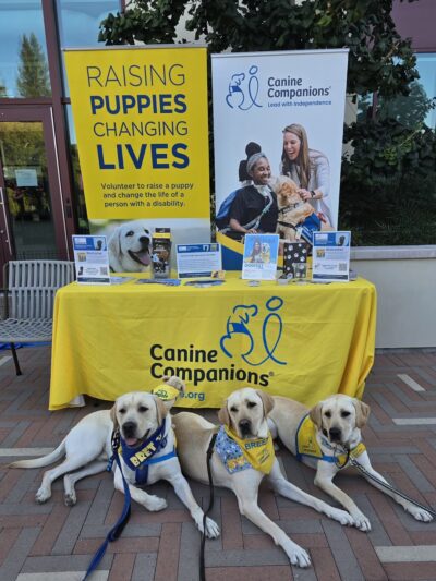 Springline - The Glade (Dog Park) - Menlo Park, CA