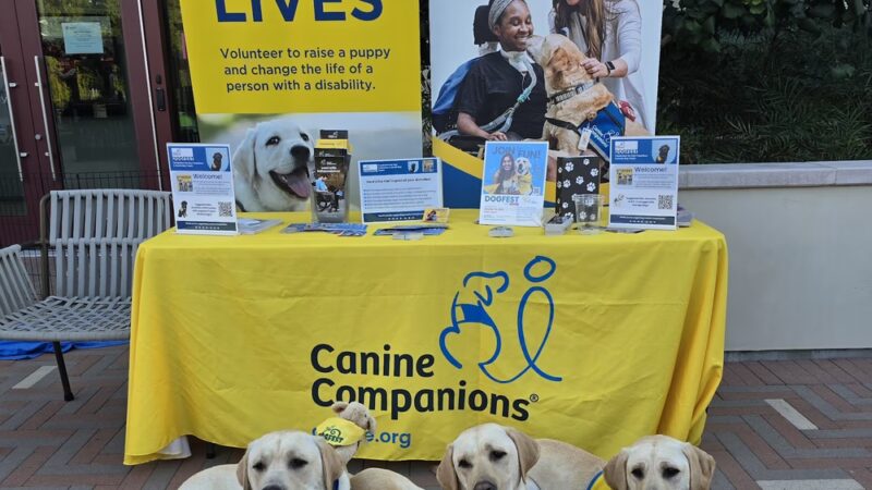 Springline - The Glade (Dog Park) - Menlo Park, CA