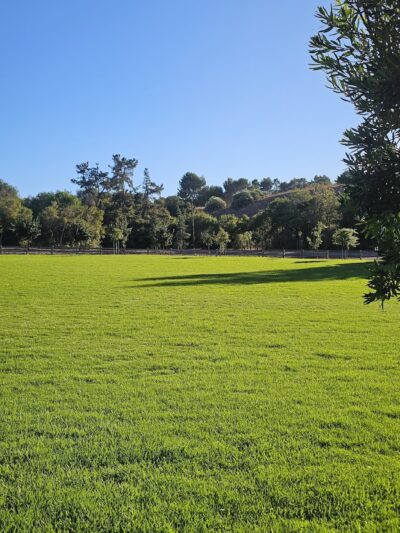 Stanford Hills Park - Menlo Park, CA