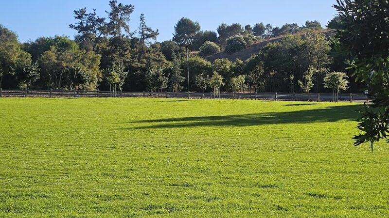 Stanford Hills Park - Menlo Park, CA