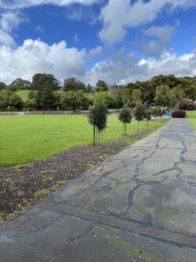 Stanford Hills Park - Menlo Park, CA