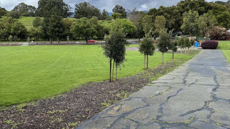 Stanford Hills Park - Menlo Park, CA