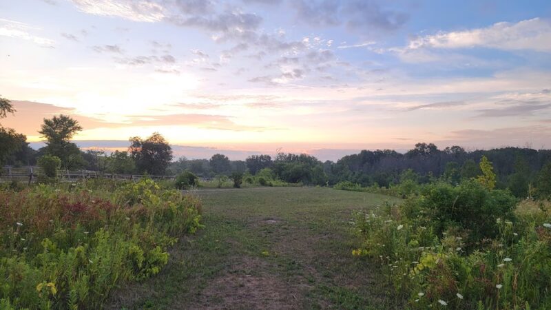 Menomonee Dog Park - Menomonee Falls, WI