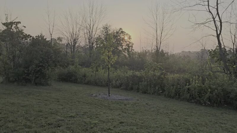 Menomonee Dog Park - Menomonee Falls, WI