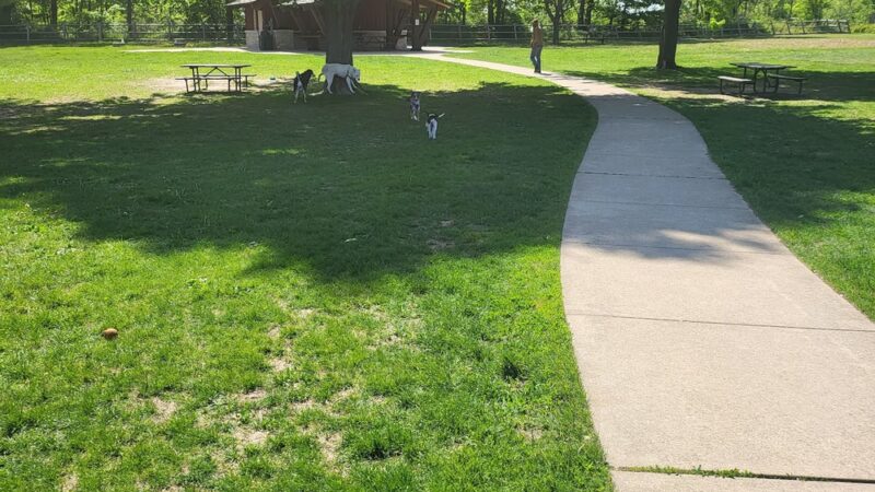 Menomonee Dog Park - Menomonee Falls, WI