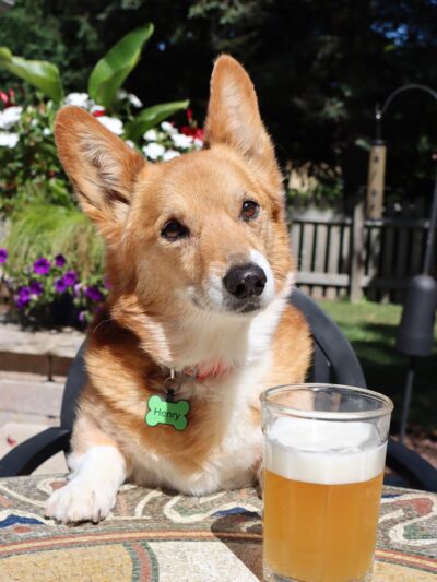 The Hounds & Tap - Menomonee Falls, WI