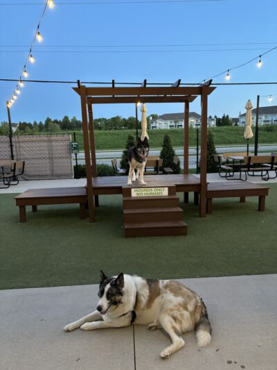 The Hounds & Tap - Menomonee Falls, WI