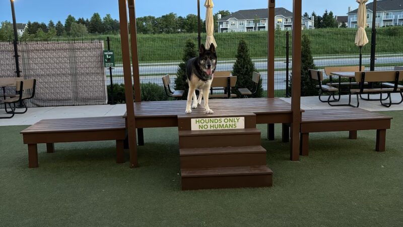 The Hounds & Tap - Menomonee Falls, WI