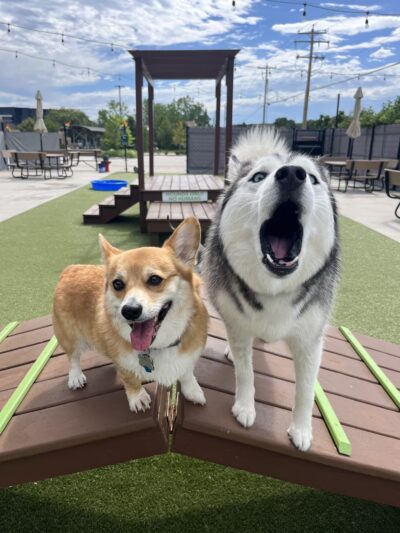 The Hounds & Tap - Menomonee Falls, WI