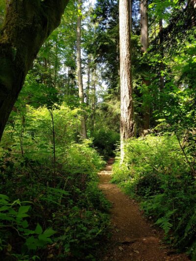 Pioneer Park - Mercer Island, WA
