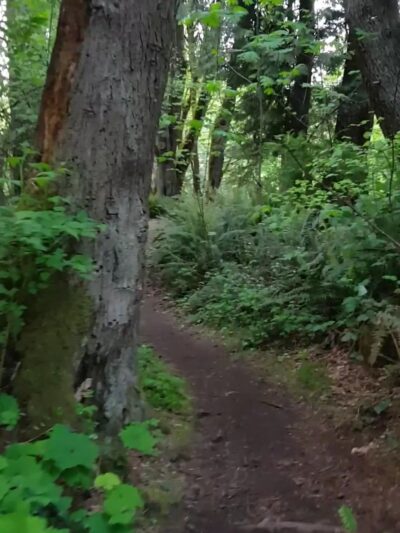 Pioneer Park - Mercer Island, WA