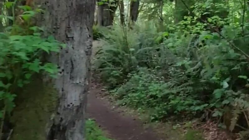 Pioneer Park - Mercer Island, WA