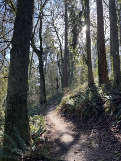 Pioneer Park - Mercer Island, WA