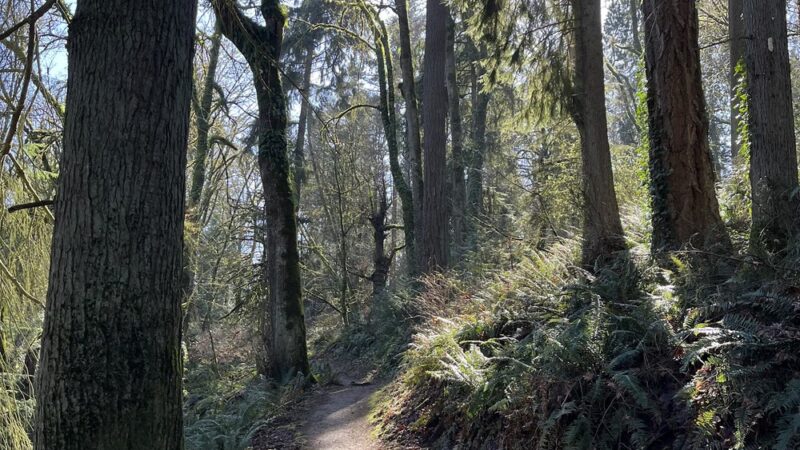 Pioneer Park - Mercer Island, WA