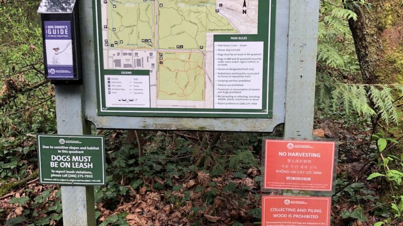 Pioneer Park - Mercer Island, WA