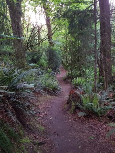 Pioneer Park - Mercer Island, WA