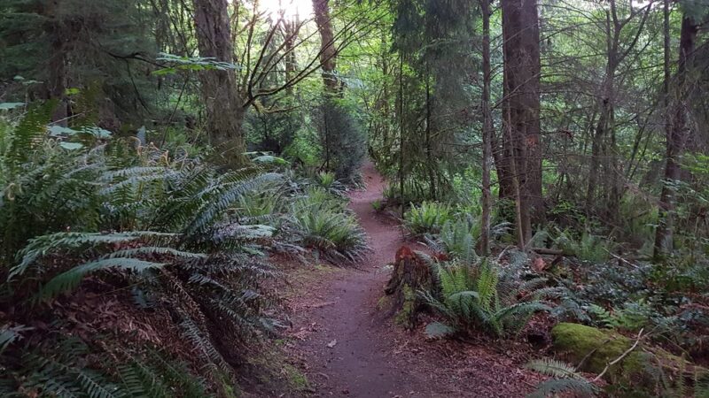 Pioneer Park - Mercer Island, WA