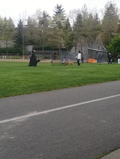 Aubrey Davis Park - Mercer Island, WA