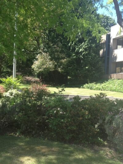 Bicentennial Park - Mercer Island, WA