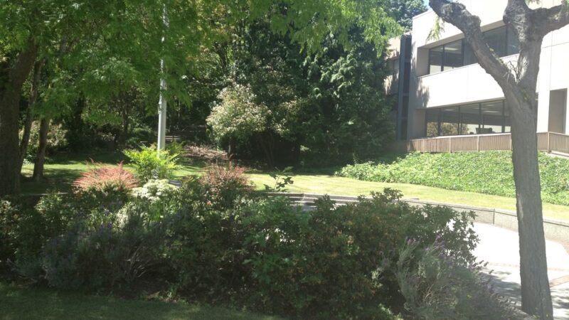 Bicentennial Park - Mercer Island, WA