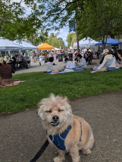 Bicentennial Park - Mercer Island, WA