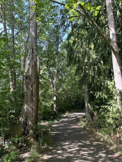 Clarke Beach Park - Mercer Island, WA
