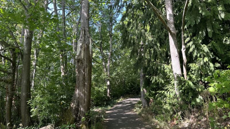 Clarke Beach Park - Mercer Island, WA