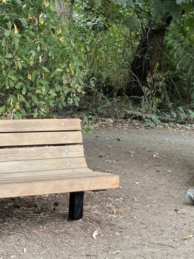 Ewan's Bench - Mercer Island, WA