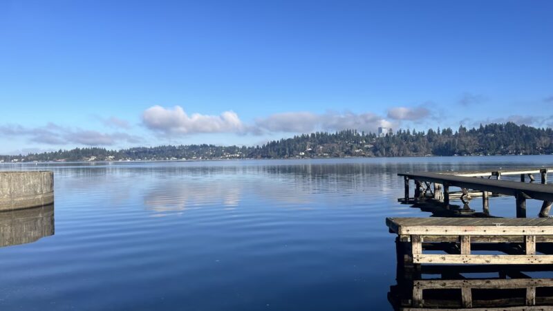 Luther Burbank Park - Mercer Island, WA