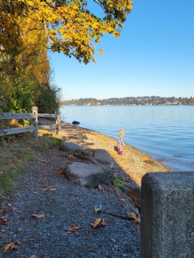 Luther Burbank Park - Mercer Island, WA