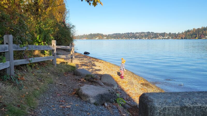 Luther Burbank Park - Mercer Island, WA