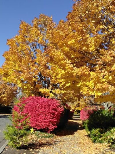 Mercer Island Park & Ride - Mercer Island, WA