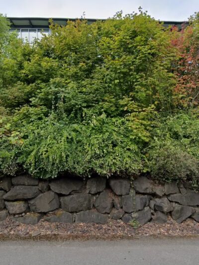 Mercer Island Parks & Rec Department - Mercer Island, WA