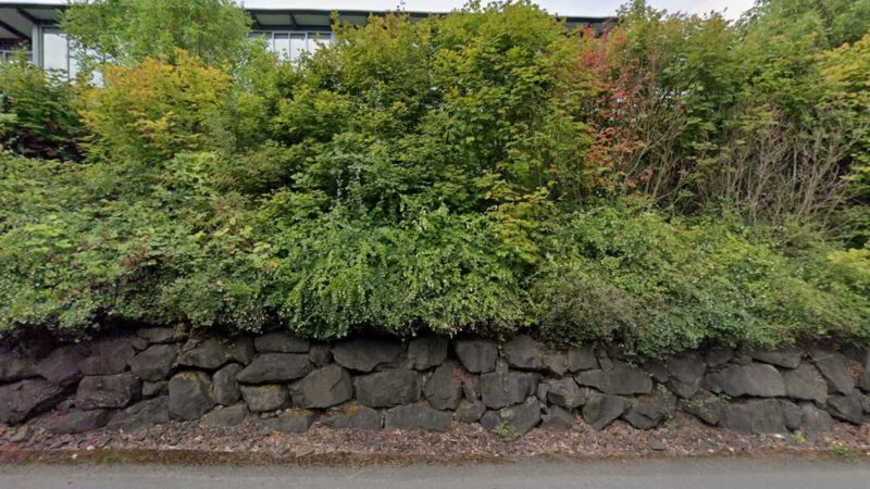 Mercer Island Parks & Rec Department - Mercer Island, WA