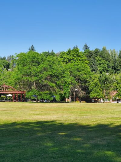 Mercerdale Park - Mercer Island, WA