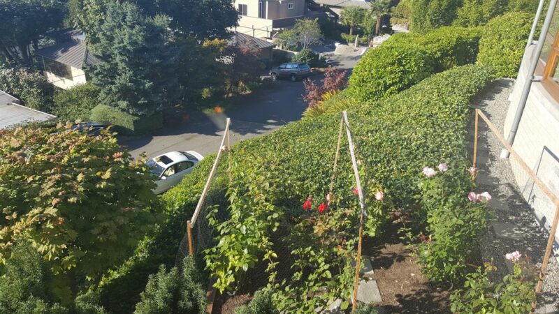 Secret Park - Mercer Island, WA