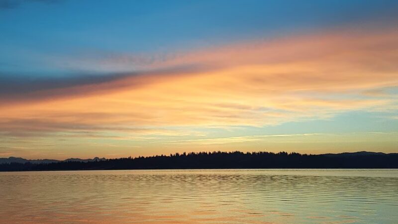Secret Park - Mercer Island, WA