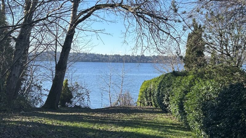 Slater Park - Mercer Island, WA