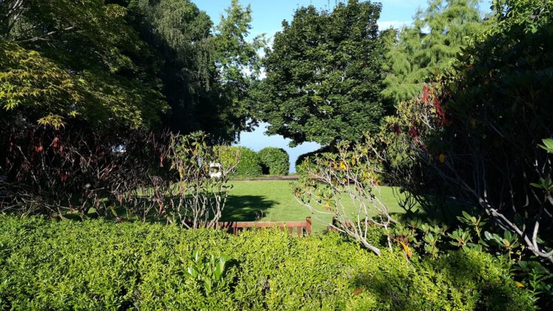 Slater Park - Mercer Island, WA