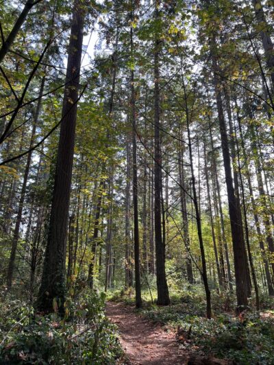 Wildwood Park - Mercer Island, WA