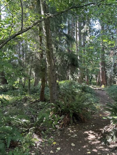 Wildwood Park - Mercer Island, WA