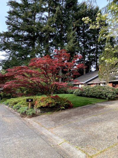 Wildwood Park - Mercer Island, WA