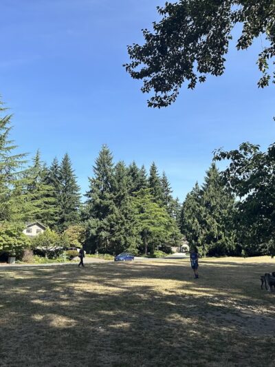 Wildwood Park - Mercer Island, WA