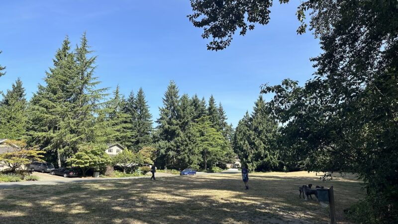 Wildwood Park - Mercer Island, WA