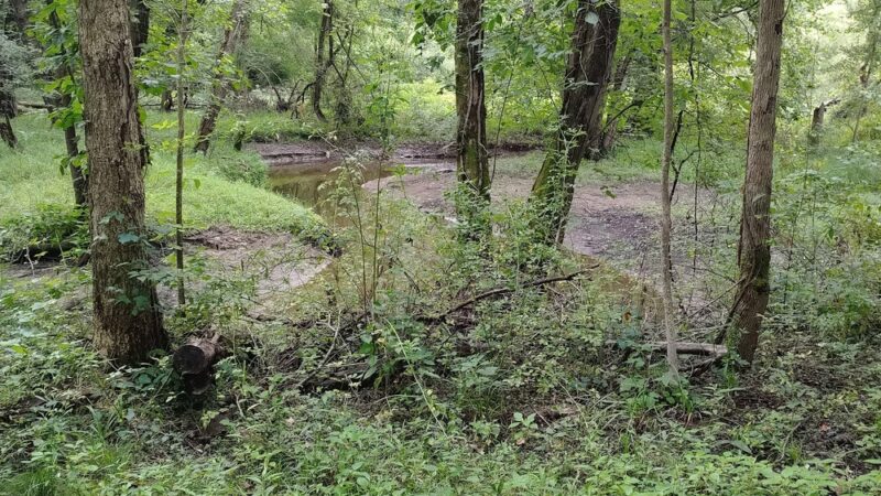 Shenango Trail - Big Bend Trailhead - Mercer, PA