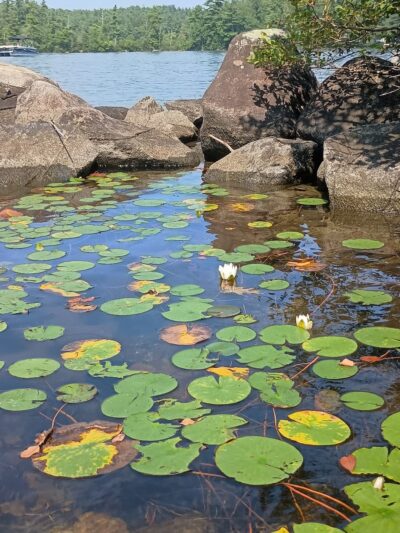 Waukewan Town Park - Meredith, NH