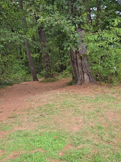 Giuffrida Park Loop - Meriden, CT